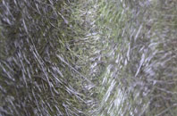 Standon Green End fibreglass roof work