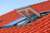 Standon Green End roof window